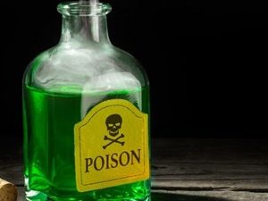 A Quarter of UK and US Firms Suffer Data Poisoning Attacks