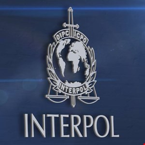 Interpol Cracks Down on Large-Scale African Scamming Networks
