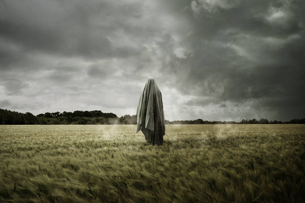 Spectre haunts CPUs again: VMSCAPE vulnerability leaks cloud secrets