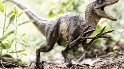 Ransomware crims that exploited SharePoint 0-days add Velociraptor to their arsenal