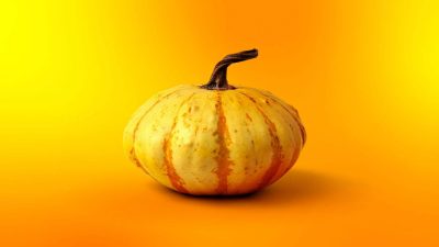 Security risks of vibe coding and LLM assistants for developers