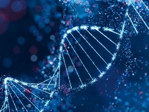 UK Biobank Data Breach: Health Data of 500,000 Listed for Sale in China